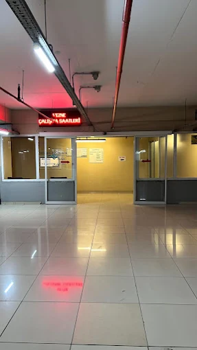 Yönetim katı ve Muhasebe